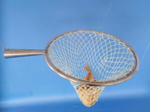 Hand net stainless steel 45/ 30×30/2,5 mm handled - 3